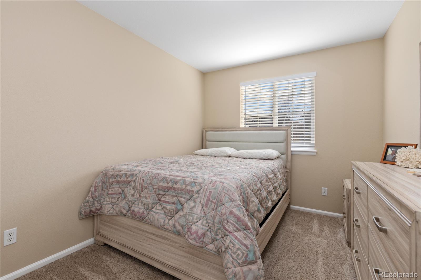 MLS Image #16 for 1018  mulberry lane,highlands ranch, Colorado