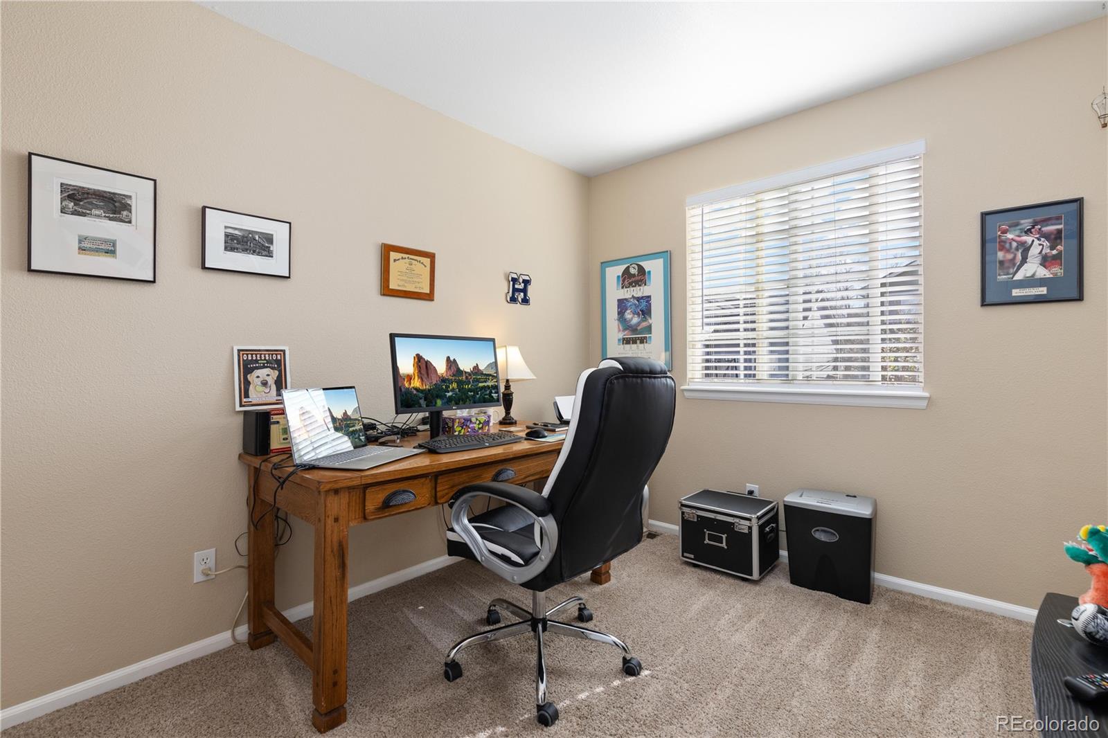 MLS Image #19 for 1018  mulberry lane,highlands ranch, Colorado