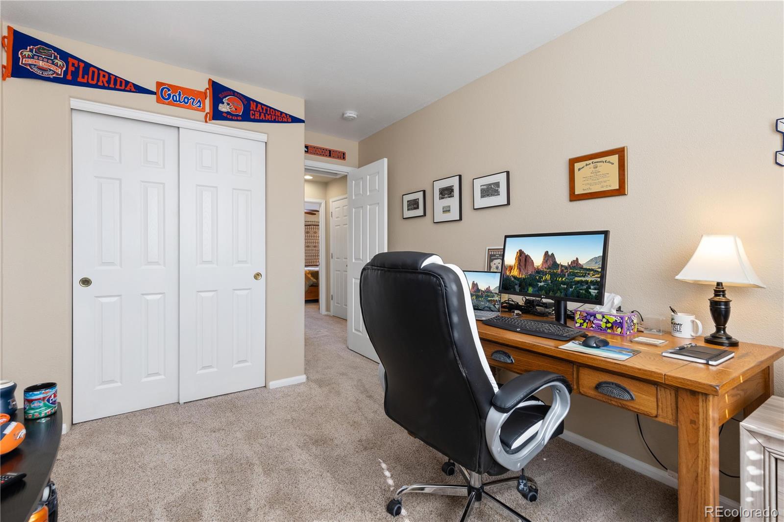 MLS Image #20 for 1018  mulberry lane,highlands ranch, Colorado