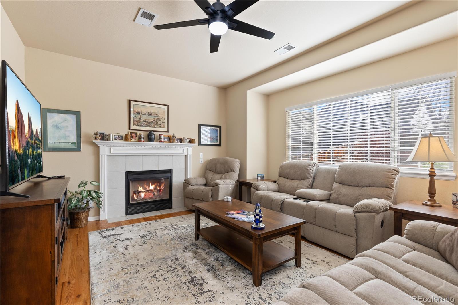 MLS Image #8 for 1018  mulberry lane,highlands ranch, Colorado