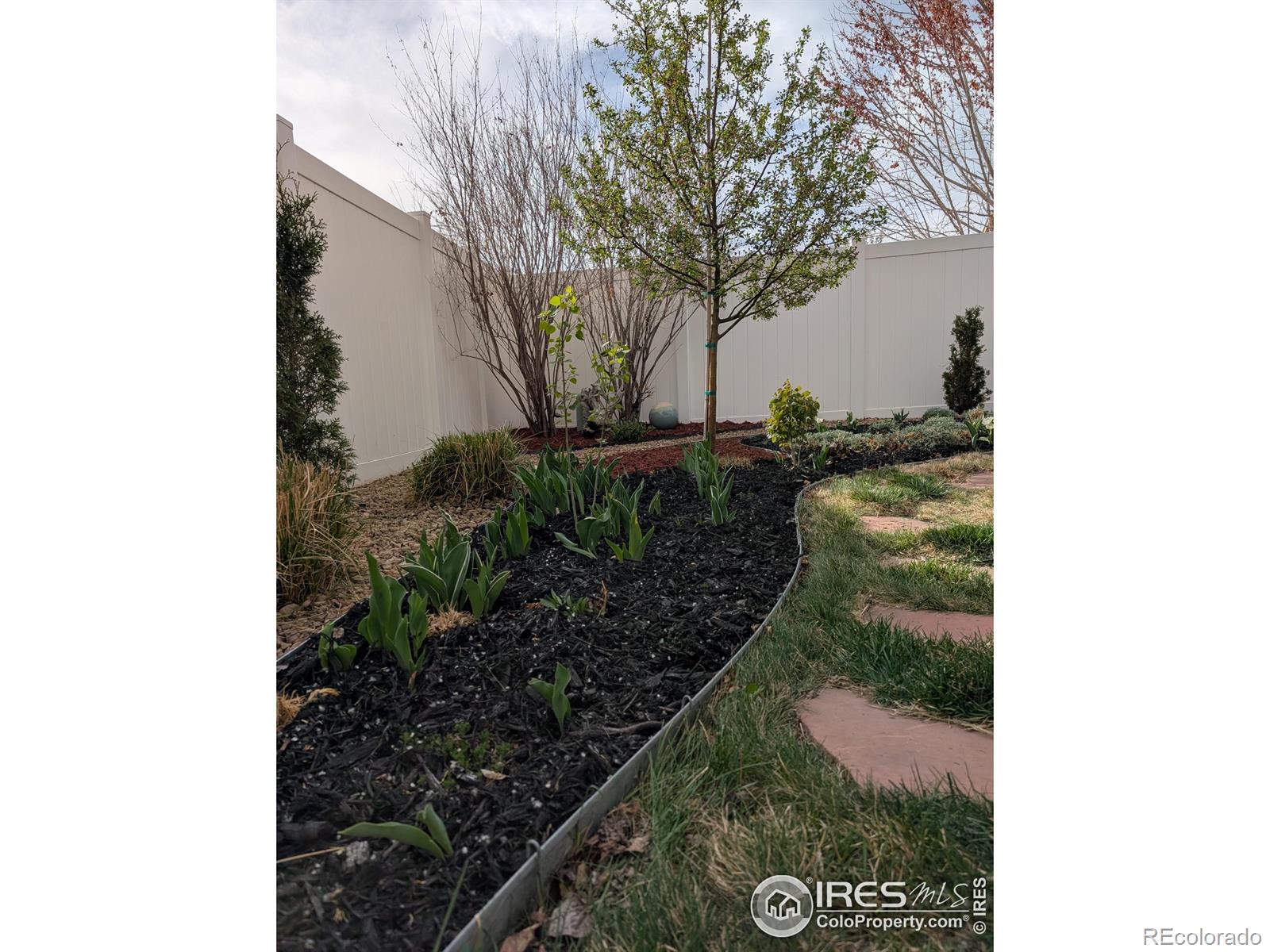 MLS Image #31 for 2872  hydra drive,loveland, Colorado