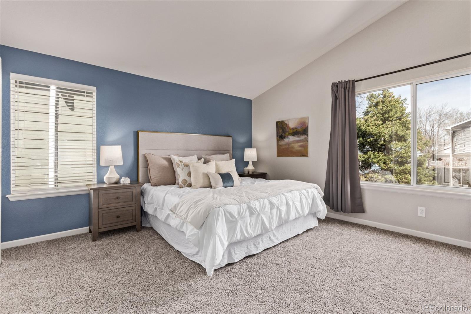 MLS Image #16 for 5079  morning glory place,highlands ranch, Colorado