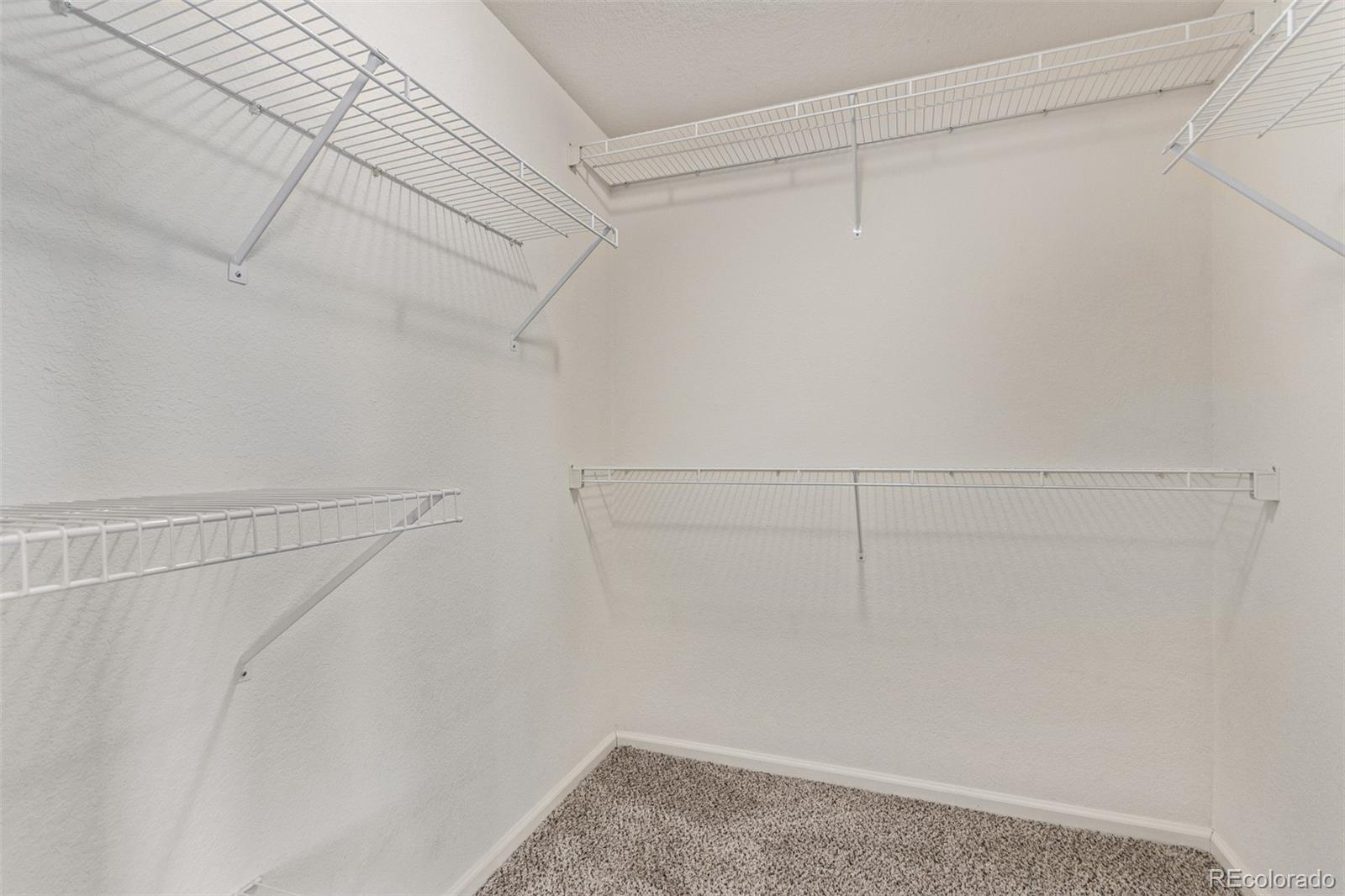 MLS Image #21 for 5079  morning glory place,highlands ranch, Colorado