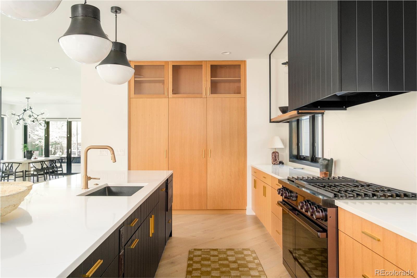 MLS Image #17 for 1190 s vine street,denver, Colorado