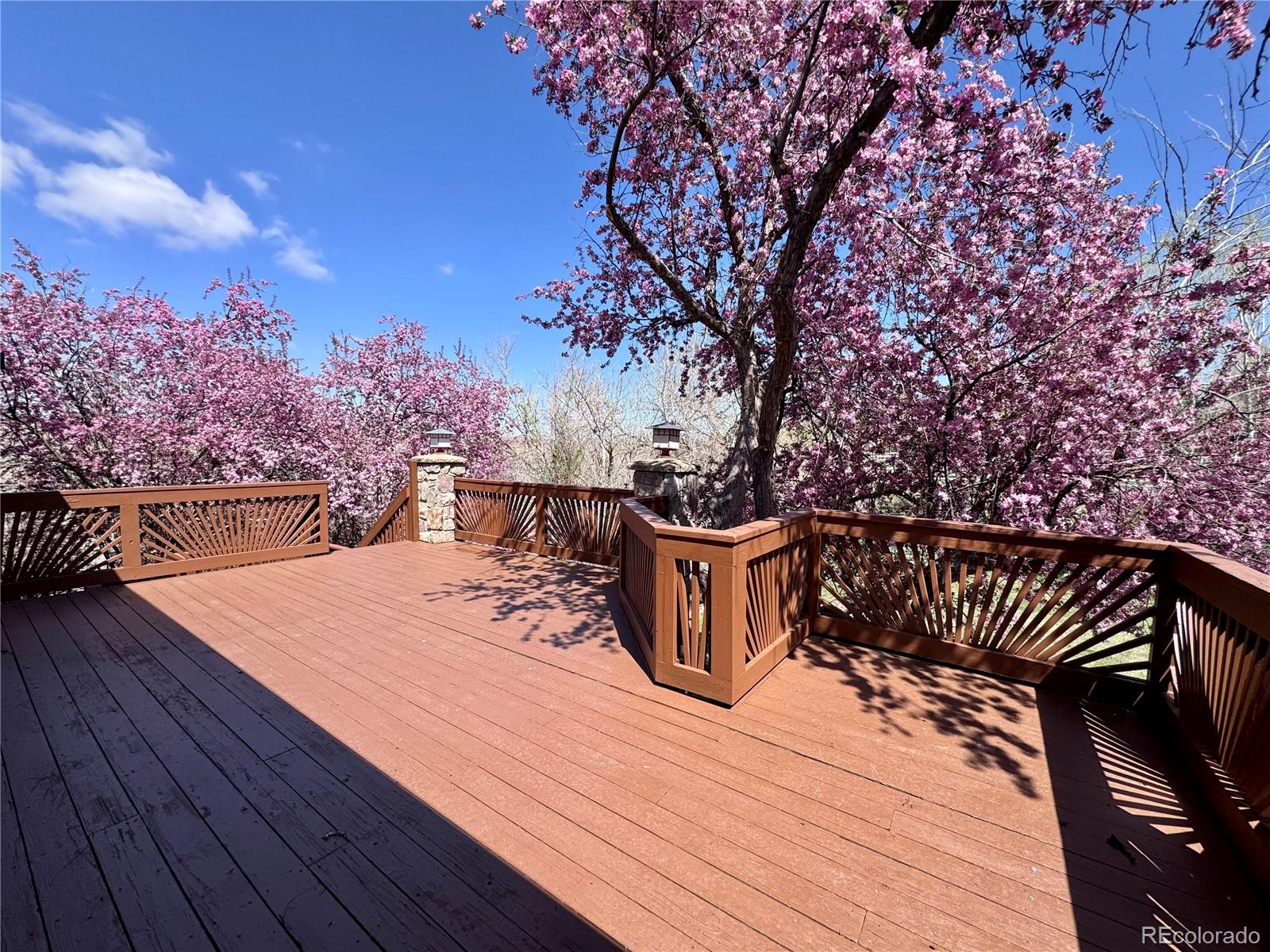 MLS Image #44 for 11489 w bear creek drive,lakewood, Colorado
