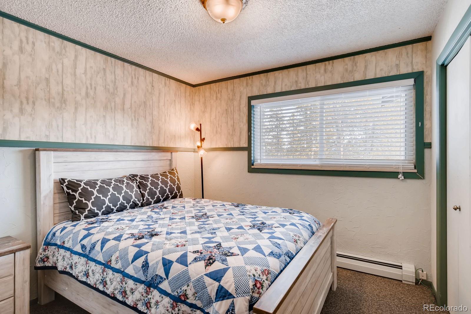 MLS Image #17 for 241  ridge road,divide, Colorado