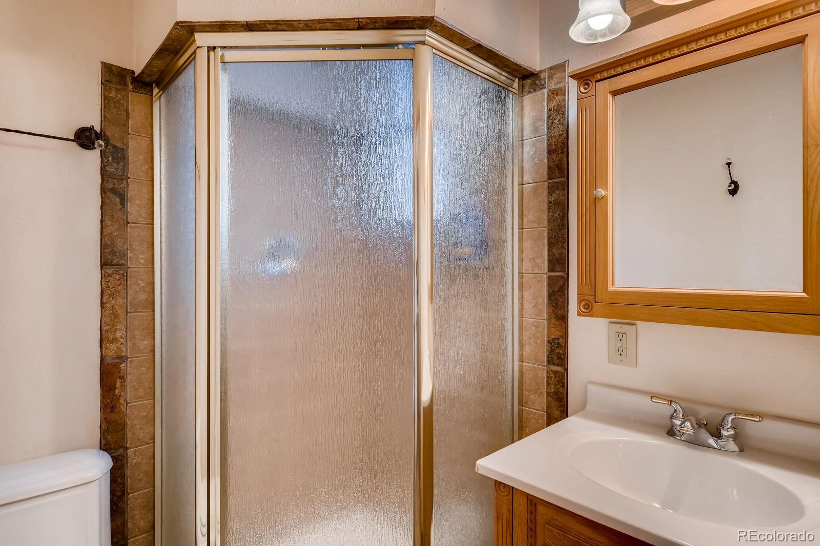 MLS Image #19 for 241  ridge road,divide, Colorado