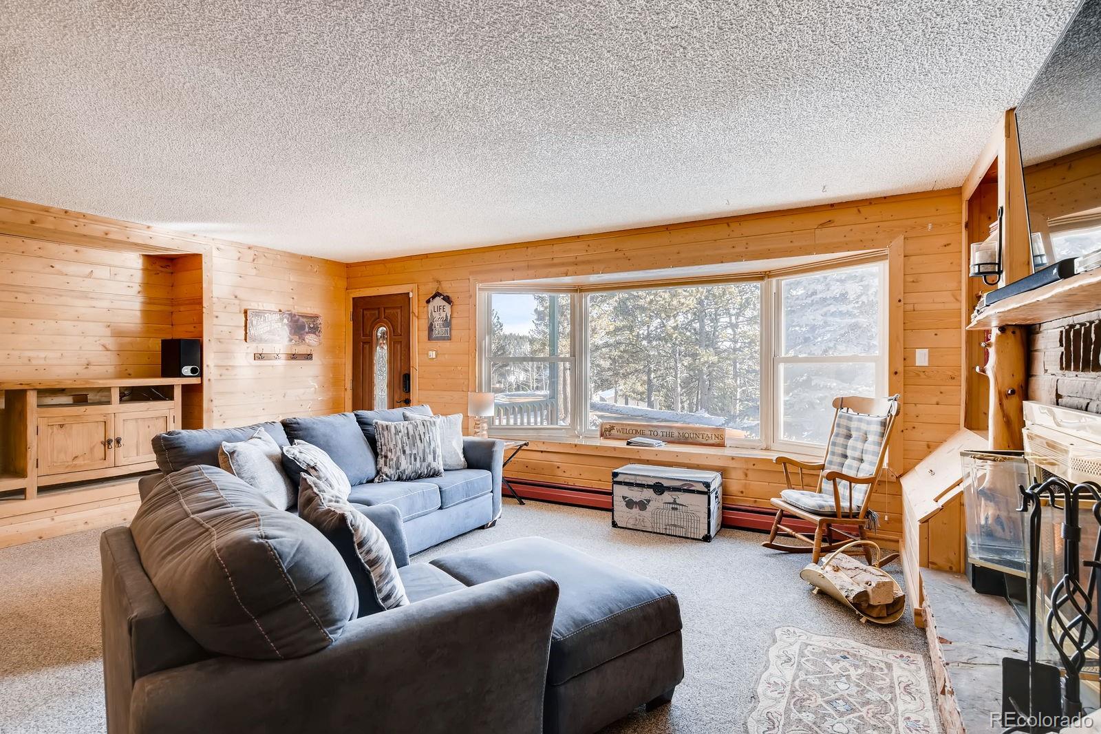 MLS Image #6 for 241  ridge road,divide, Colorado