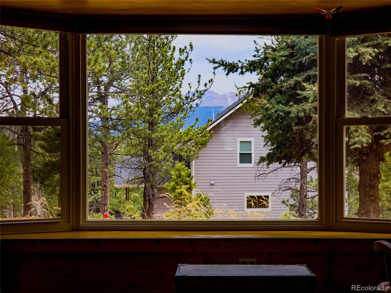 MLS Image #7 for 241  ridge road,divide, Colorado