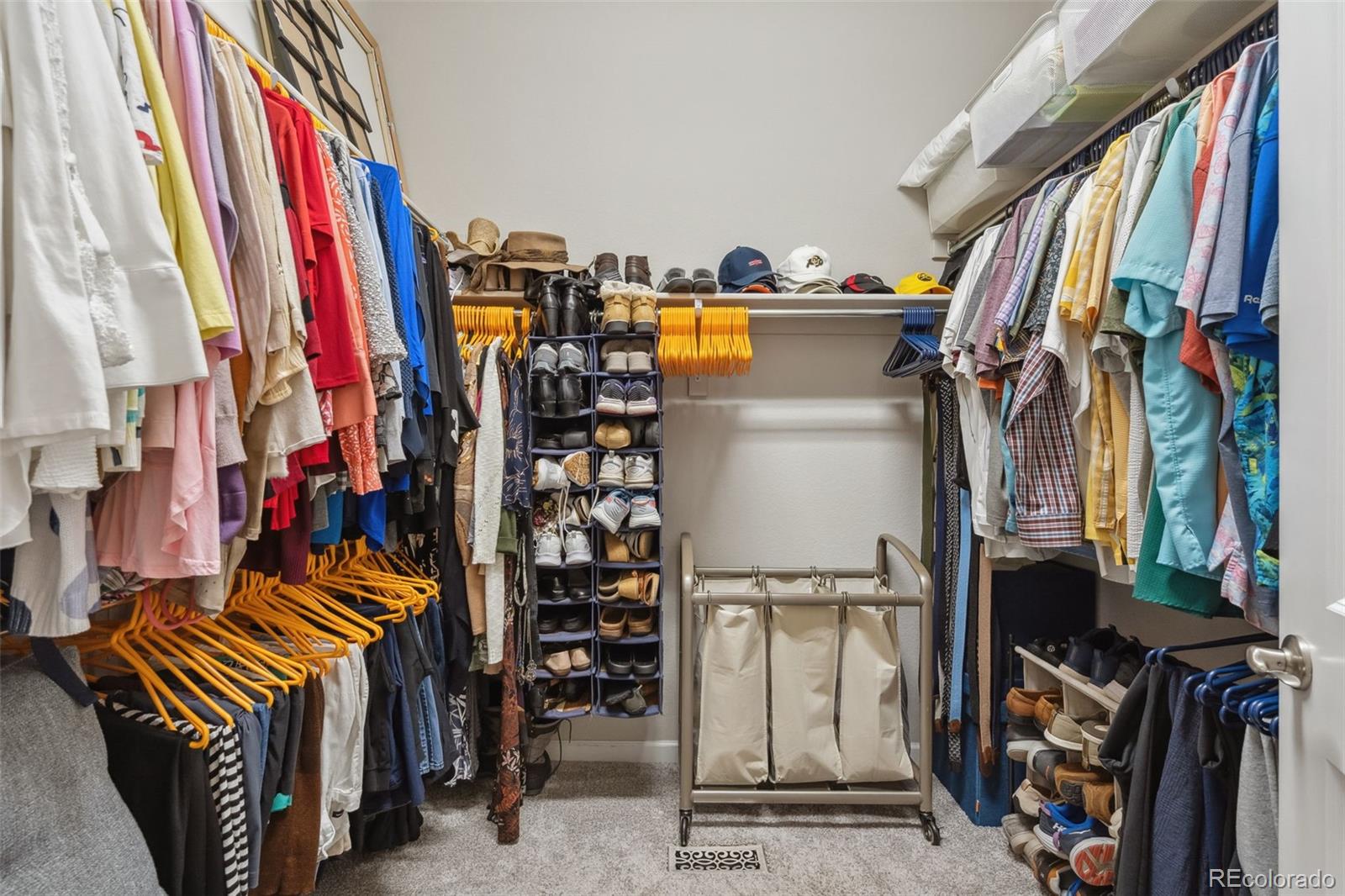 MLS Image #20 for 15686  puma run,broomfield, Colorado