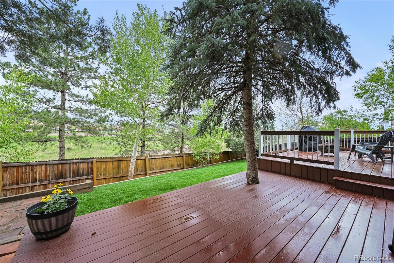 MLS Image #36 for 7927  elmwood street,littleton, Colorado