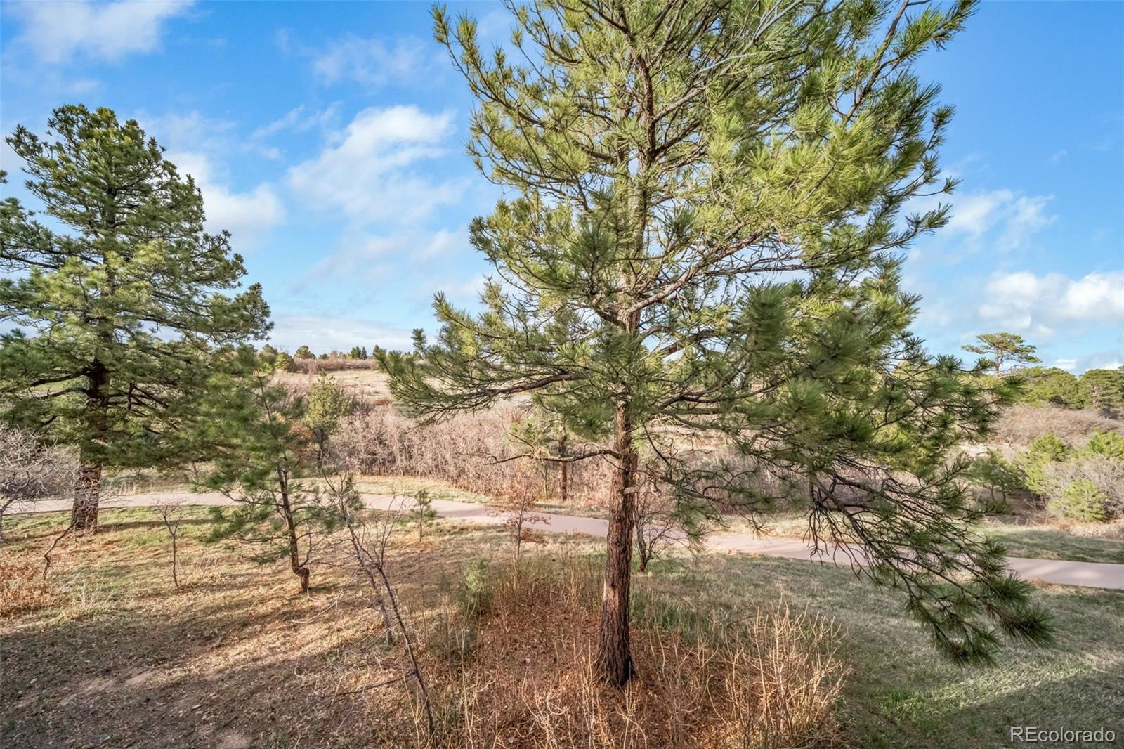 MLS Image #17 for 5395  canyon view drive,castle rock, Colorado