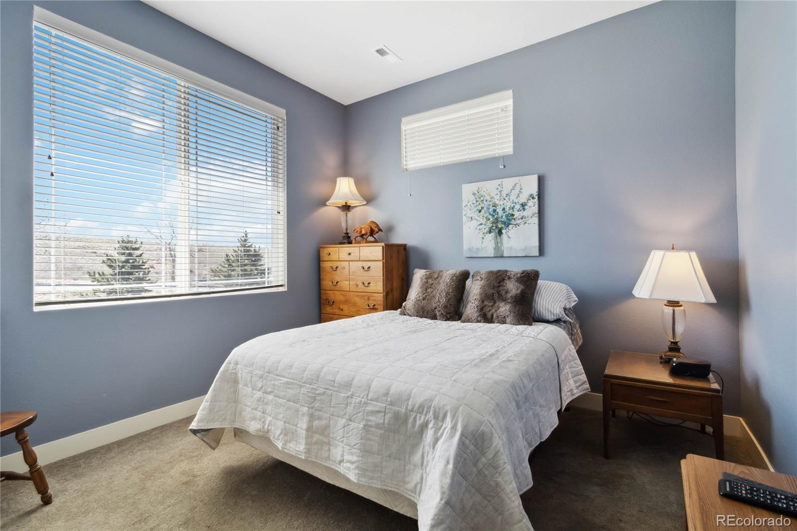 MLS Image #22 for 12278  stone timber court,parker, Colorado