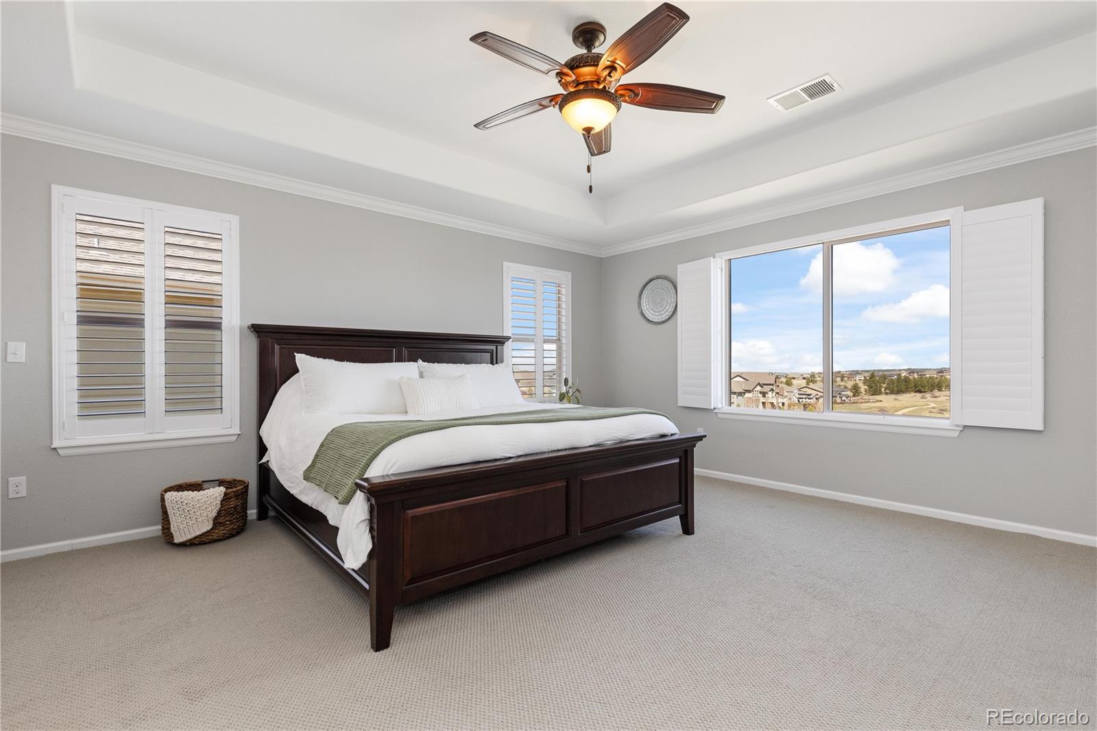 MLS Image #19 for 11916 s meander way,parker, Colorado