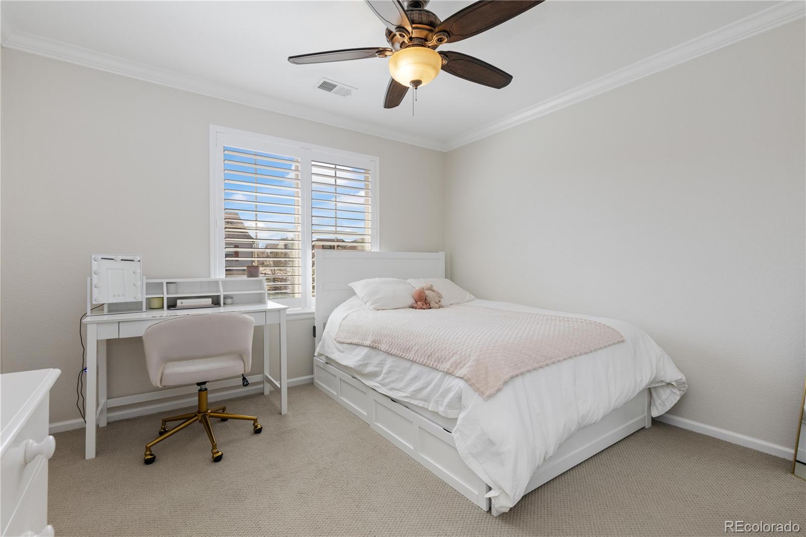 MLS Image #25 for 11916 s meander way,parker, Colorado