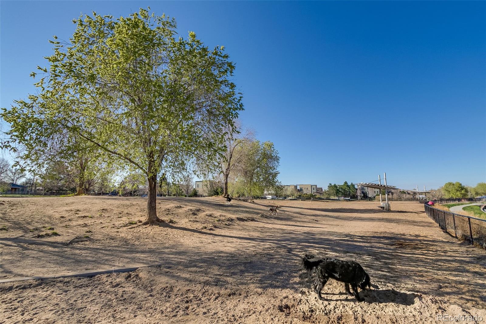 MLS Image #29 for 2260  valentia street,denver, Colorado