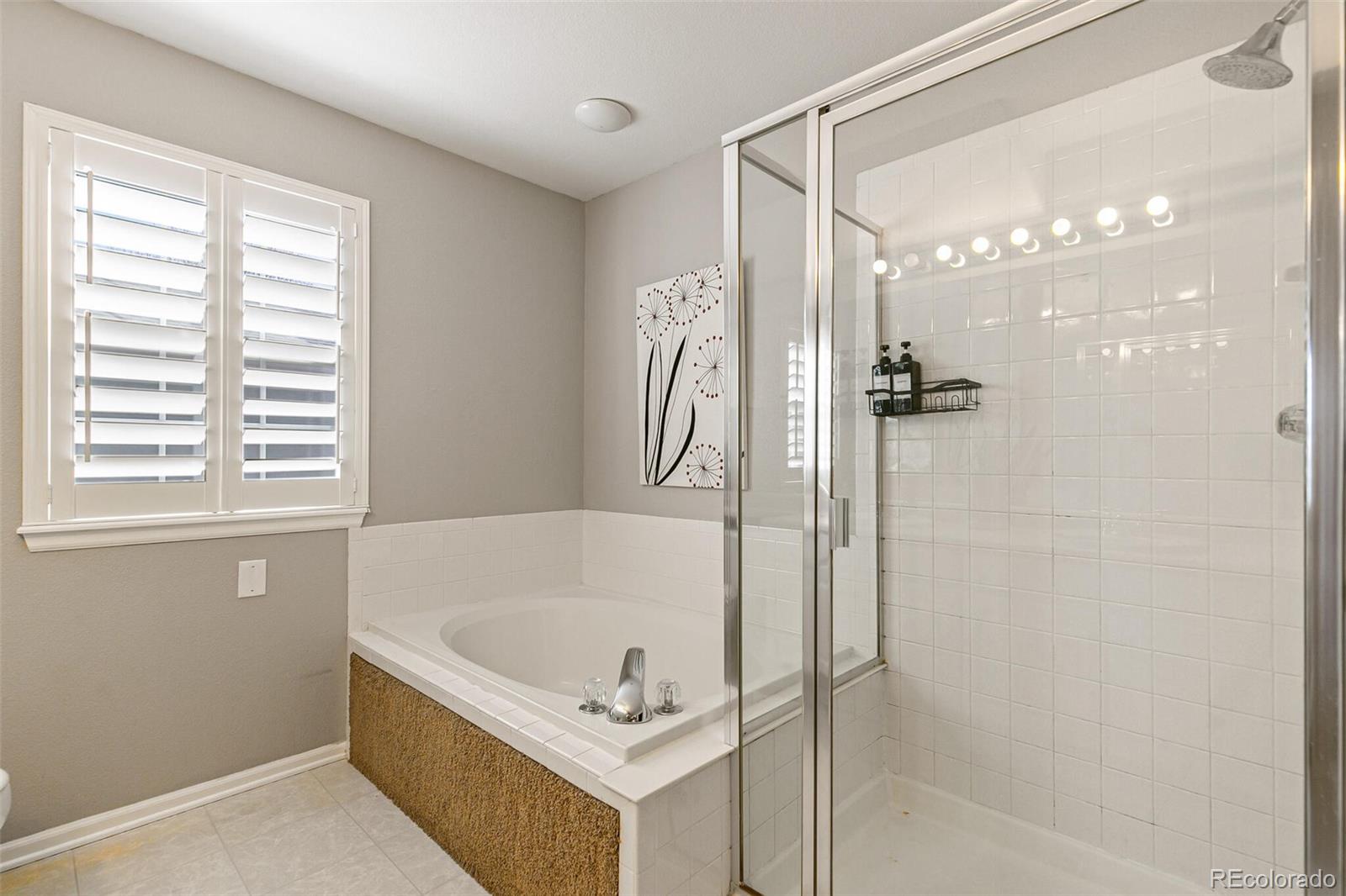 MLS Image #19 for 9898  mulberry way,highlands ranch, Colorado
