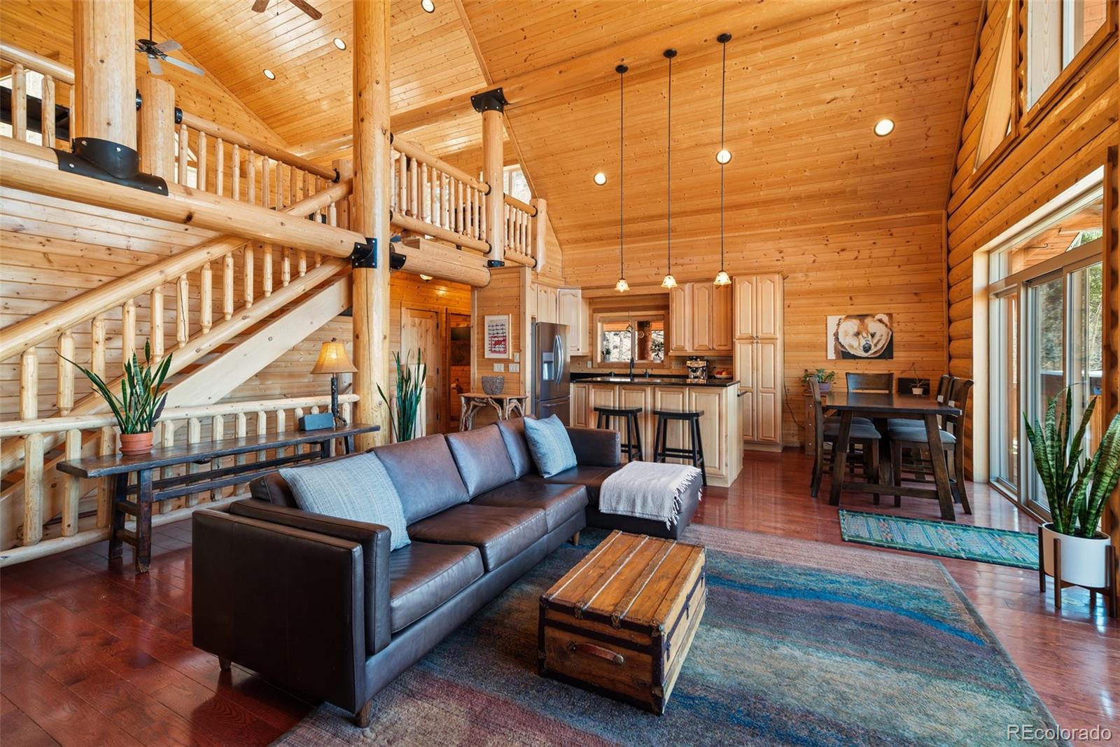 MLS Image #20 for 1330  empire valley drive,leadville, Colorado