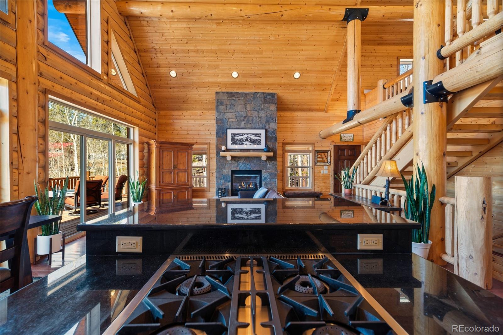 MLS Image #23 for 1330  empire valley drive,leadville, Colorado