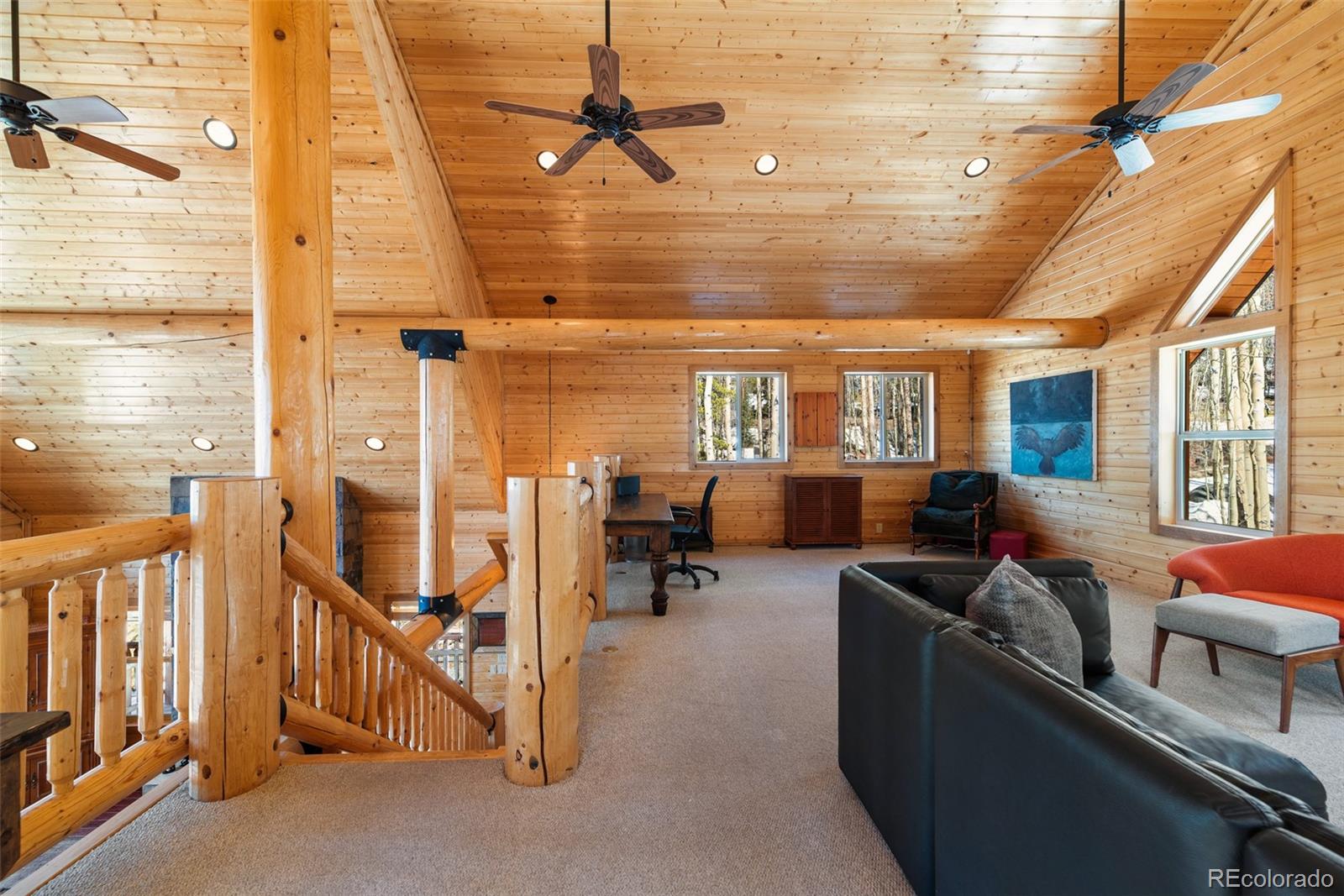 MLS Image #28 for 1330  empire valley drive,leadville, Colorado