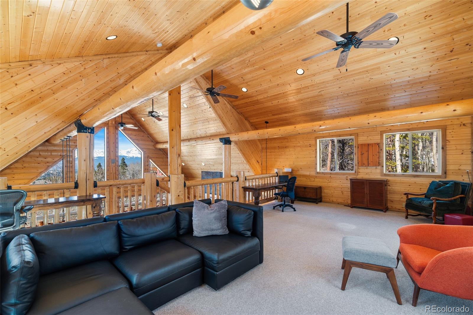 MLS Image #32 for 1330  empire valley drive,leadville, Colorado