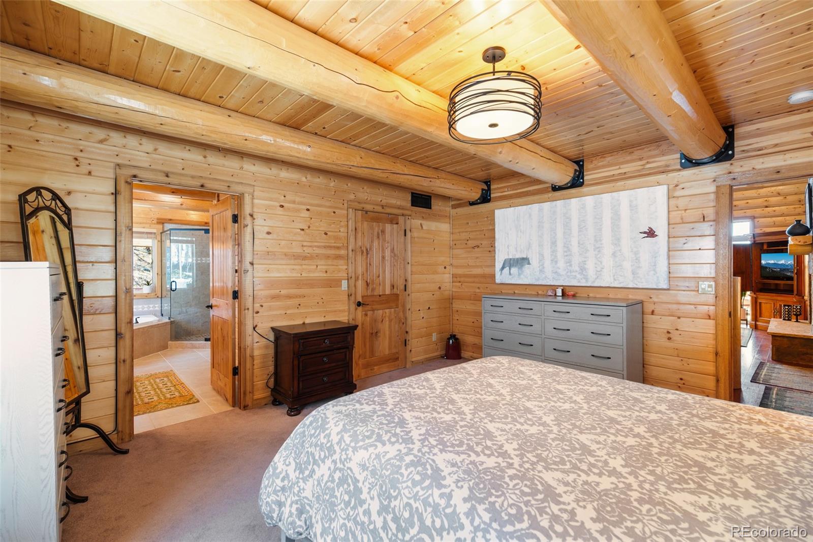 MLS Image #35 for 1330  empire valley drive,leadville, Colorado