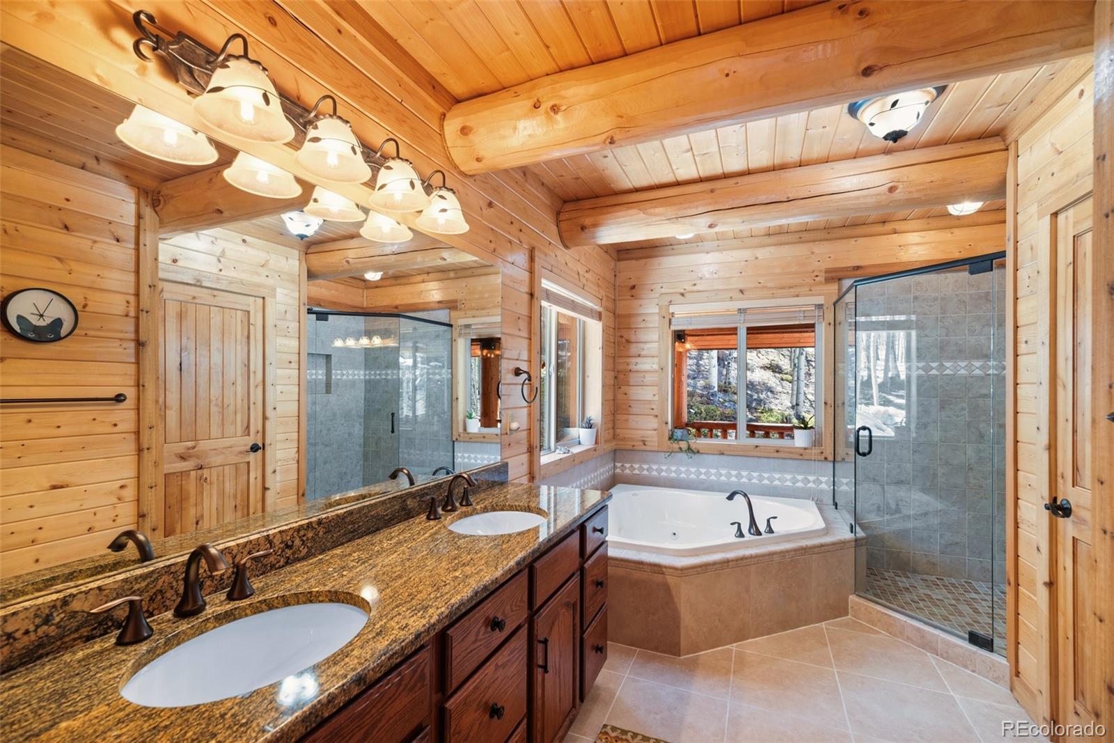 MLS Image #36 for 1330  empire valley drive,leadville, Colorado