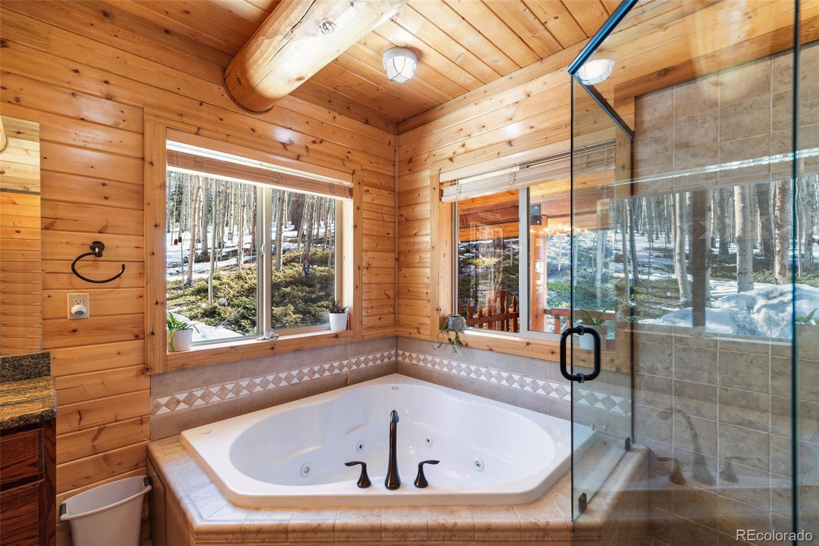 MLS Image #37 for 1330  empire valley drive,leadville, Colorado