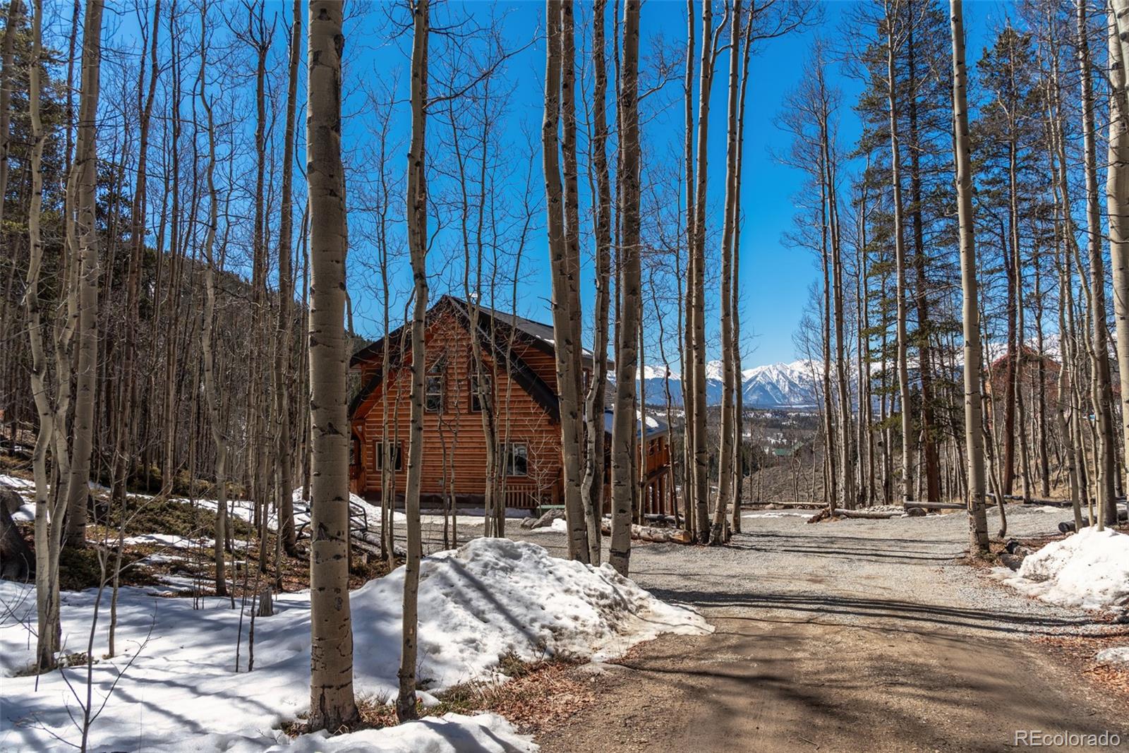 MLS Image #5 for 1330  empire valley drive,leadville, Colorado