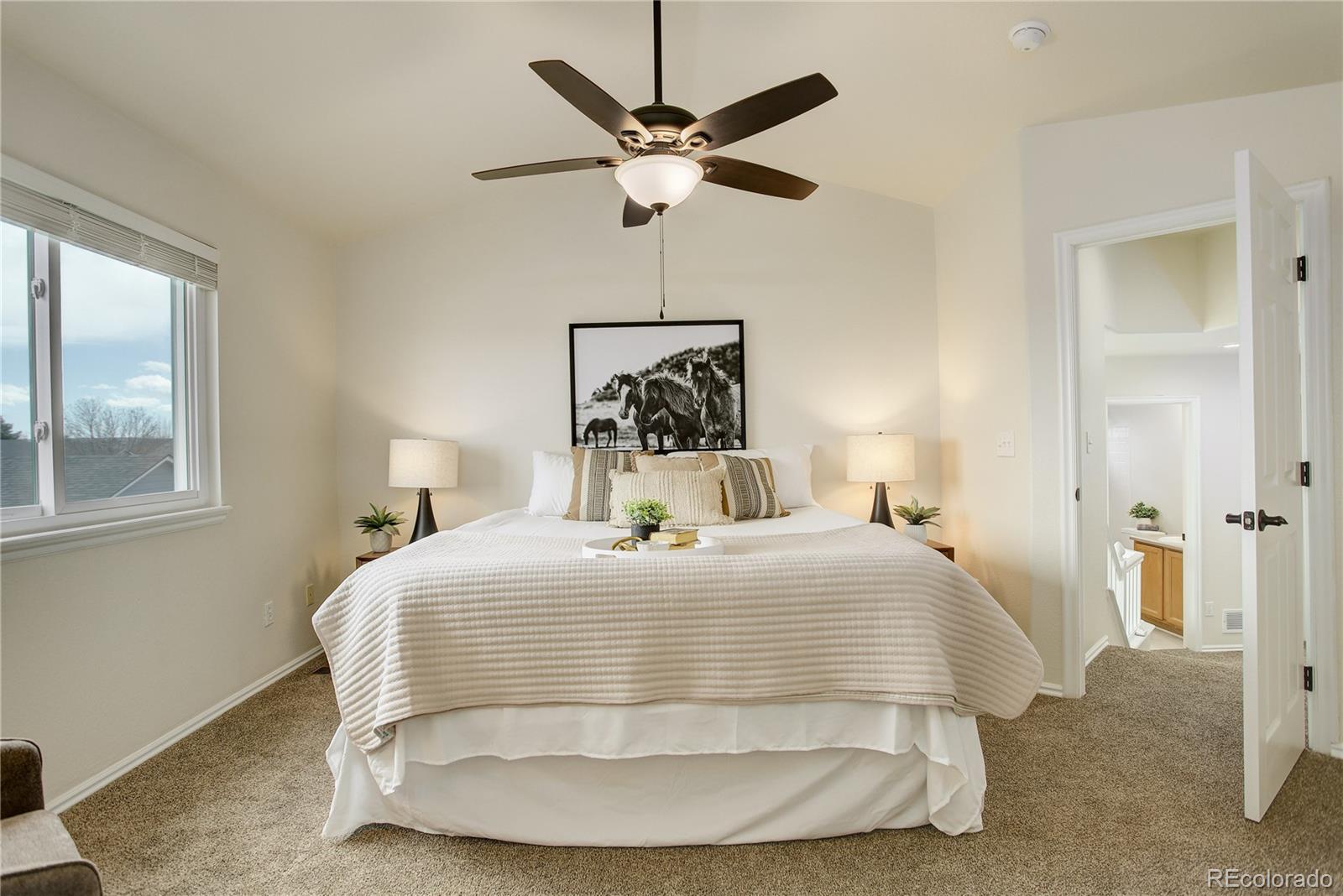 MLS Image #9 for 8510  bluegrass circle,parker, Colorado