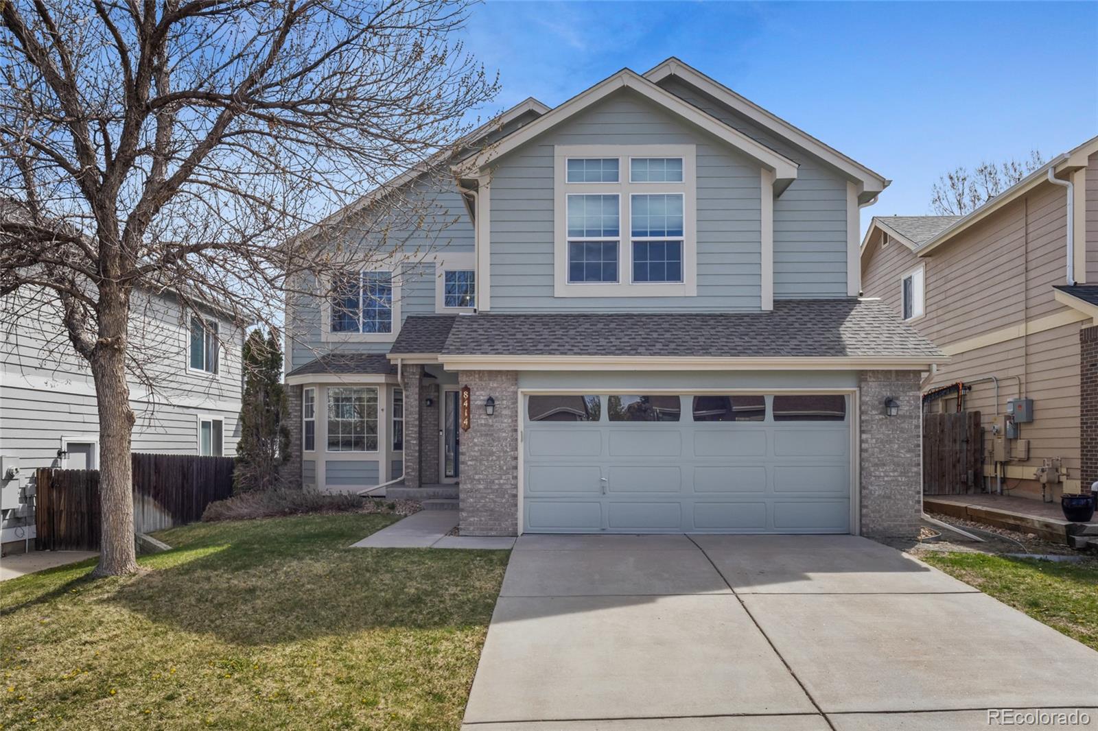 MLS Image #3 for 8414  bed straw street,parker, Colorado