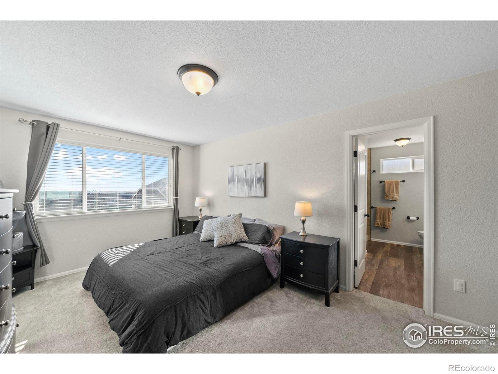 MLS Image #14 for 1059  mt oxford avenue,severance, Colorado