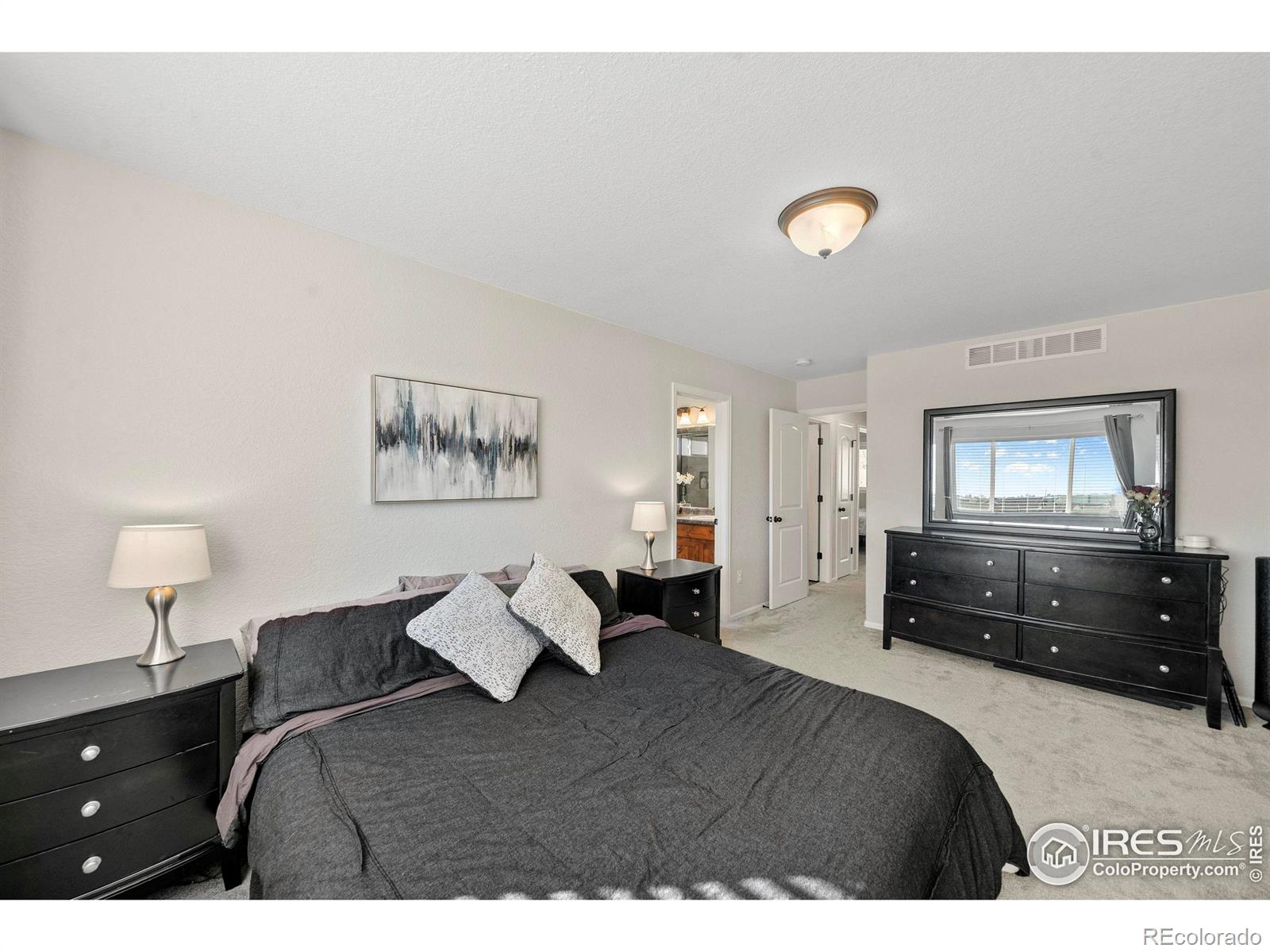 MLS Image #16 for 1059  mt oxford avenue,severance, Colorado