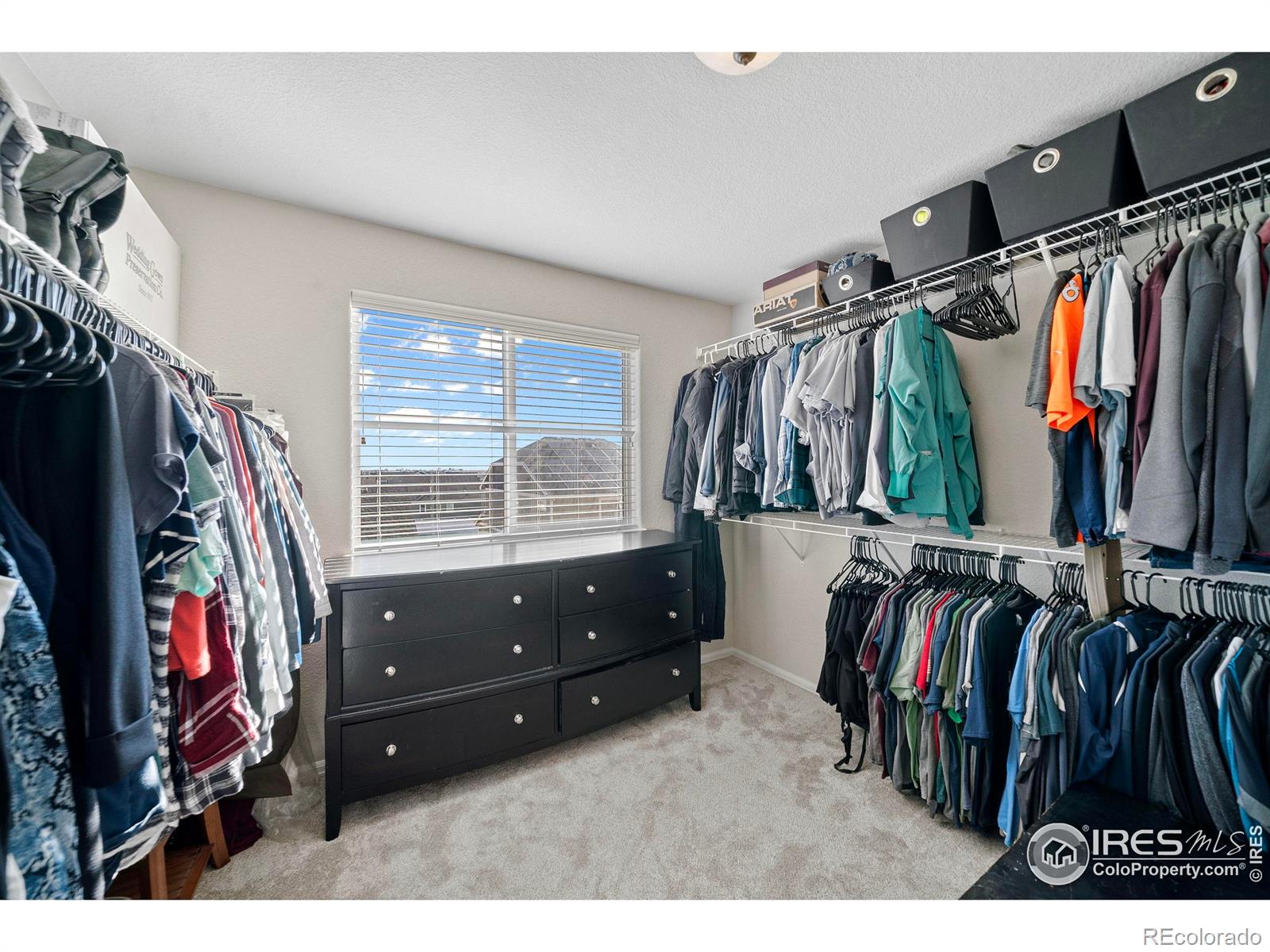 MLS Image #20 for 1059  mt oxford avenue,severance, Colorado