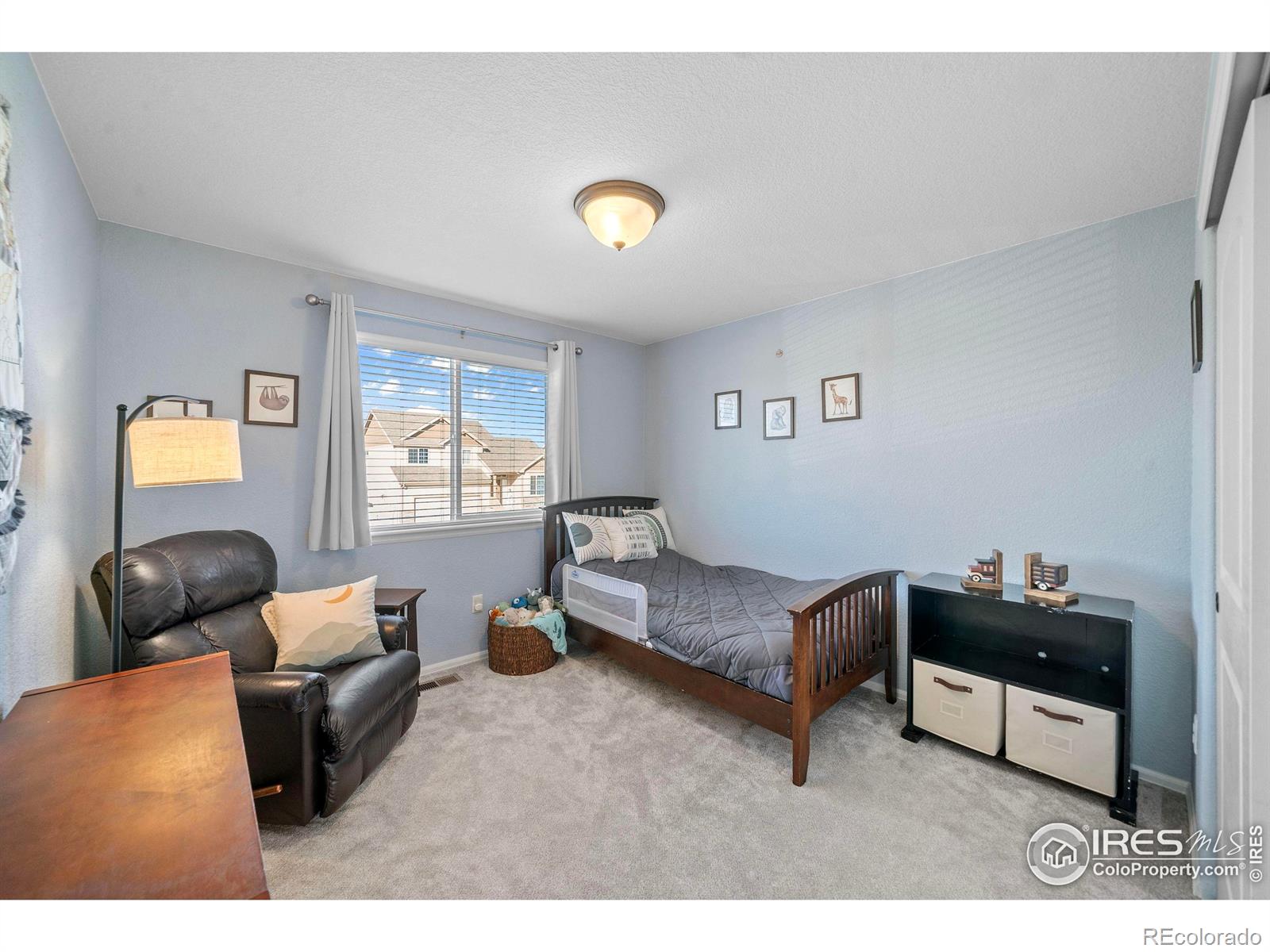 MLS Image #21 for 1059  mt oxford avenue,severance, Colorado