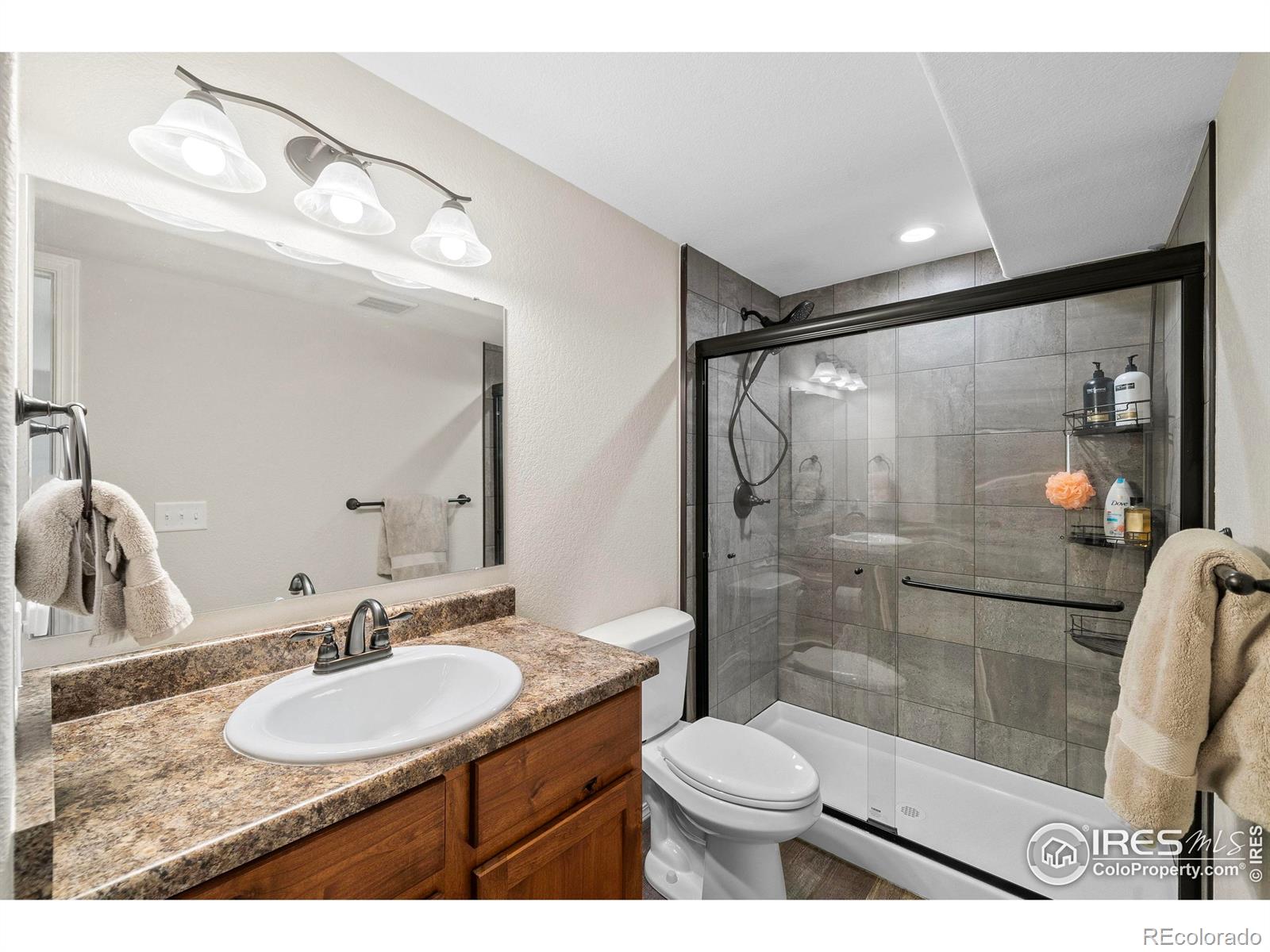 MLS Image #26 for 1059  mt oxford avenue,severance, Colorado