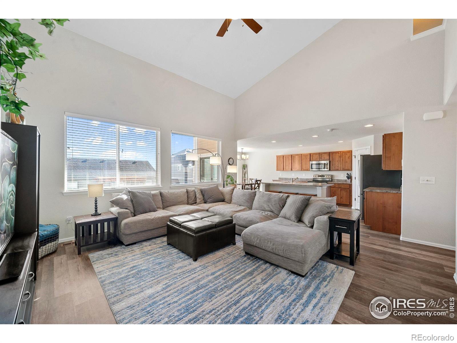 MLS Image #3 for 1059  mt oxford avenue,severance, Colorado