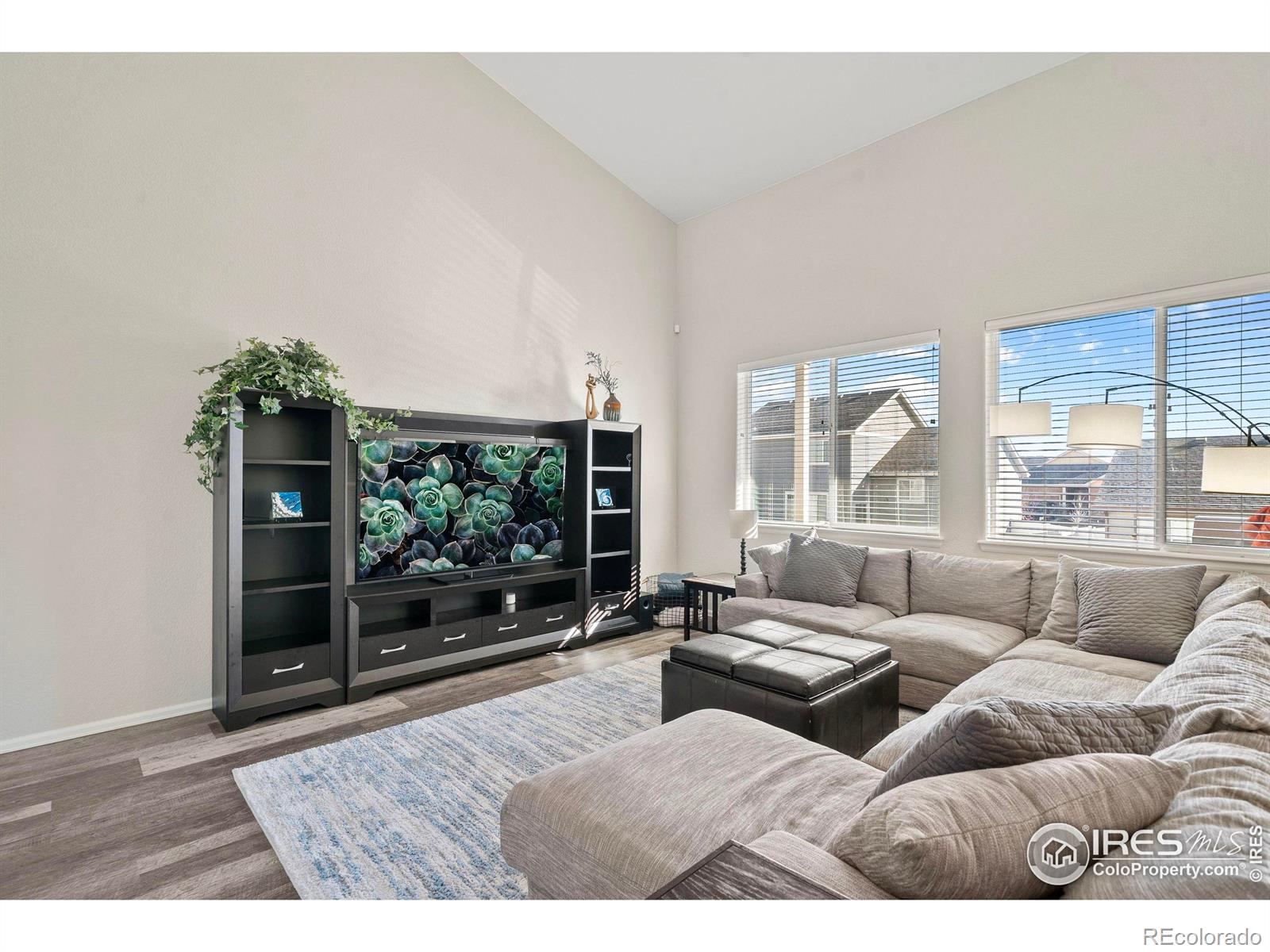 MLS Image #4 for 1059  mt oxford avenue,severance, Colorado