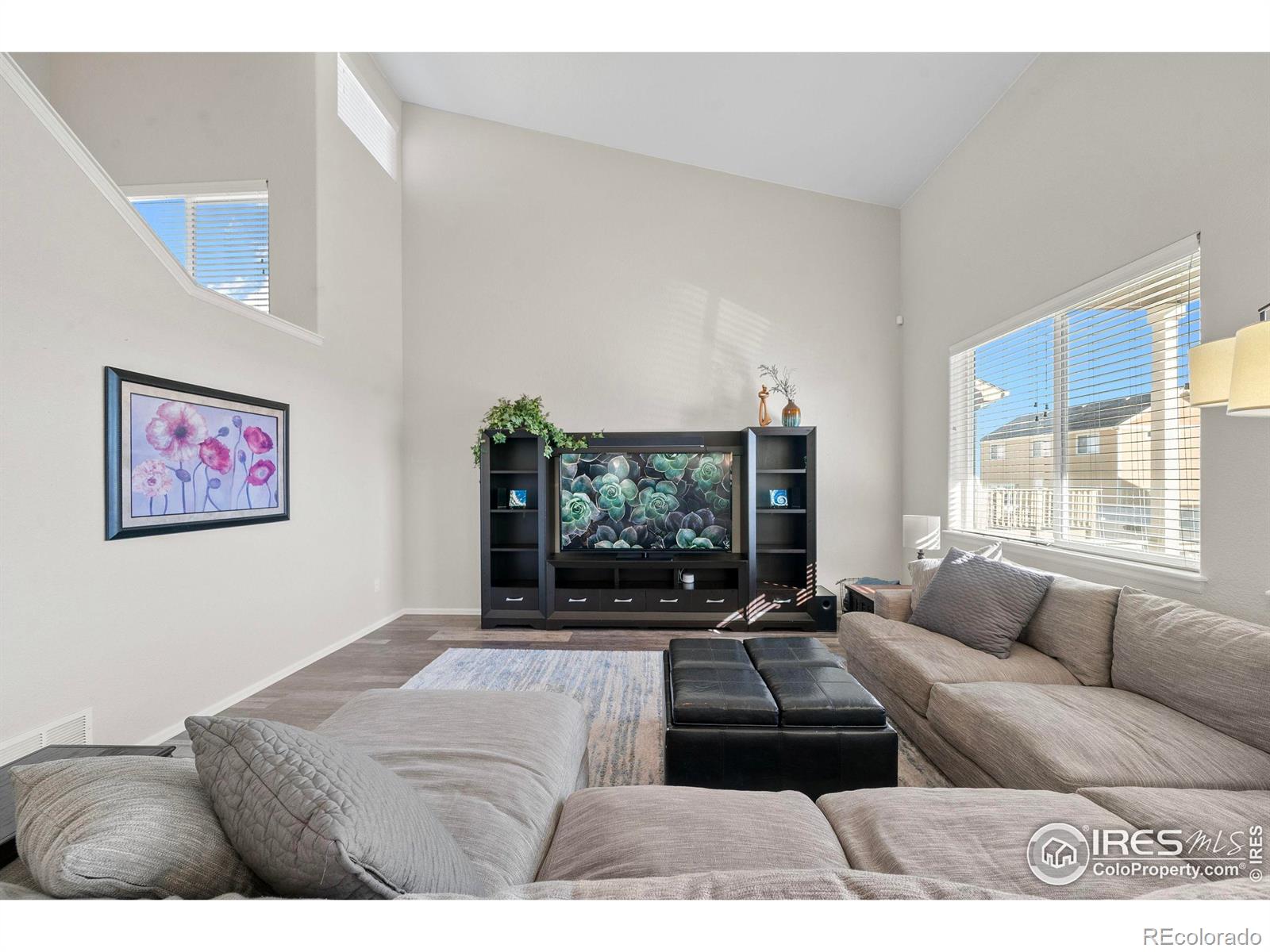 MLS Image #5 for 1059  mt oxford avenue,severance, Colorado