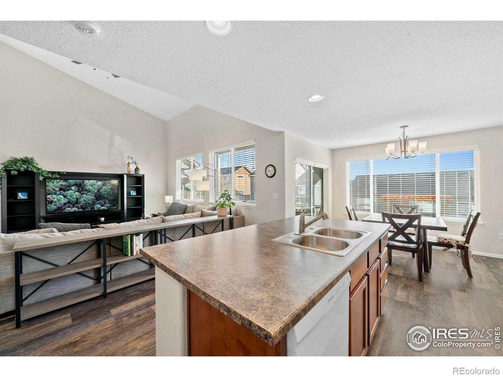 MLS Image #6 for 1059  mt oxford avenue,severance, Colorado