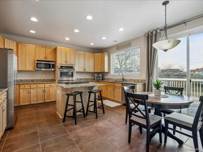 MLS Image #16 for 3309  springbriar drive,castle rock, Colorado