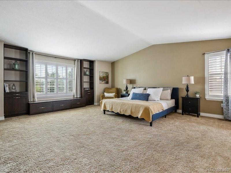 MLS Image #22 for 3309  springbriar drive,castle rock, Colorado