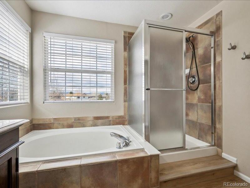 MLS Image #25 for 3309  springbriar drive,castle rock, Colorado