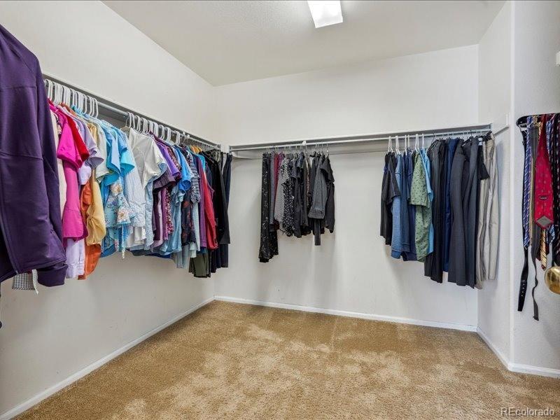 MLS Image #26 for 3309  springbriar drive,castle rock, Colorado
