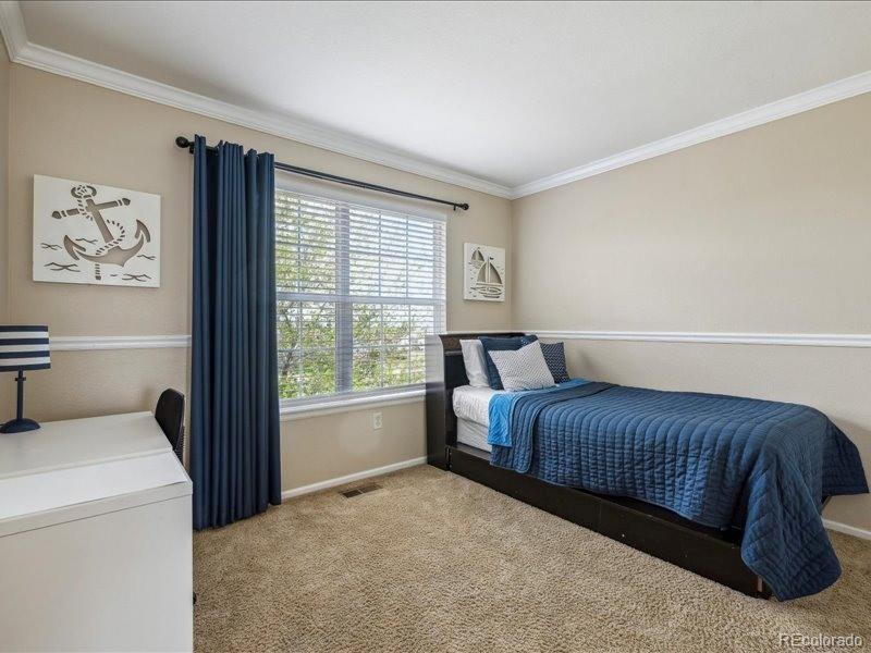 MLS Image #28 for 3309  springbriar drive,castle rock, Colorado