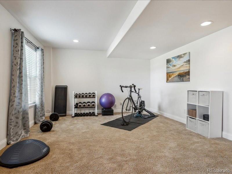 MLS Image #39 for 3309  springbriar drive,castle rock, Colorado