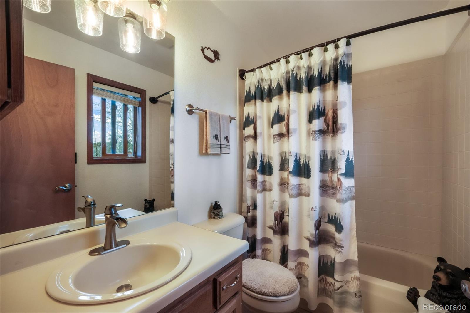 MLS Image #18 for 250  bridle drive,woodland park, Colorado