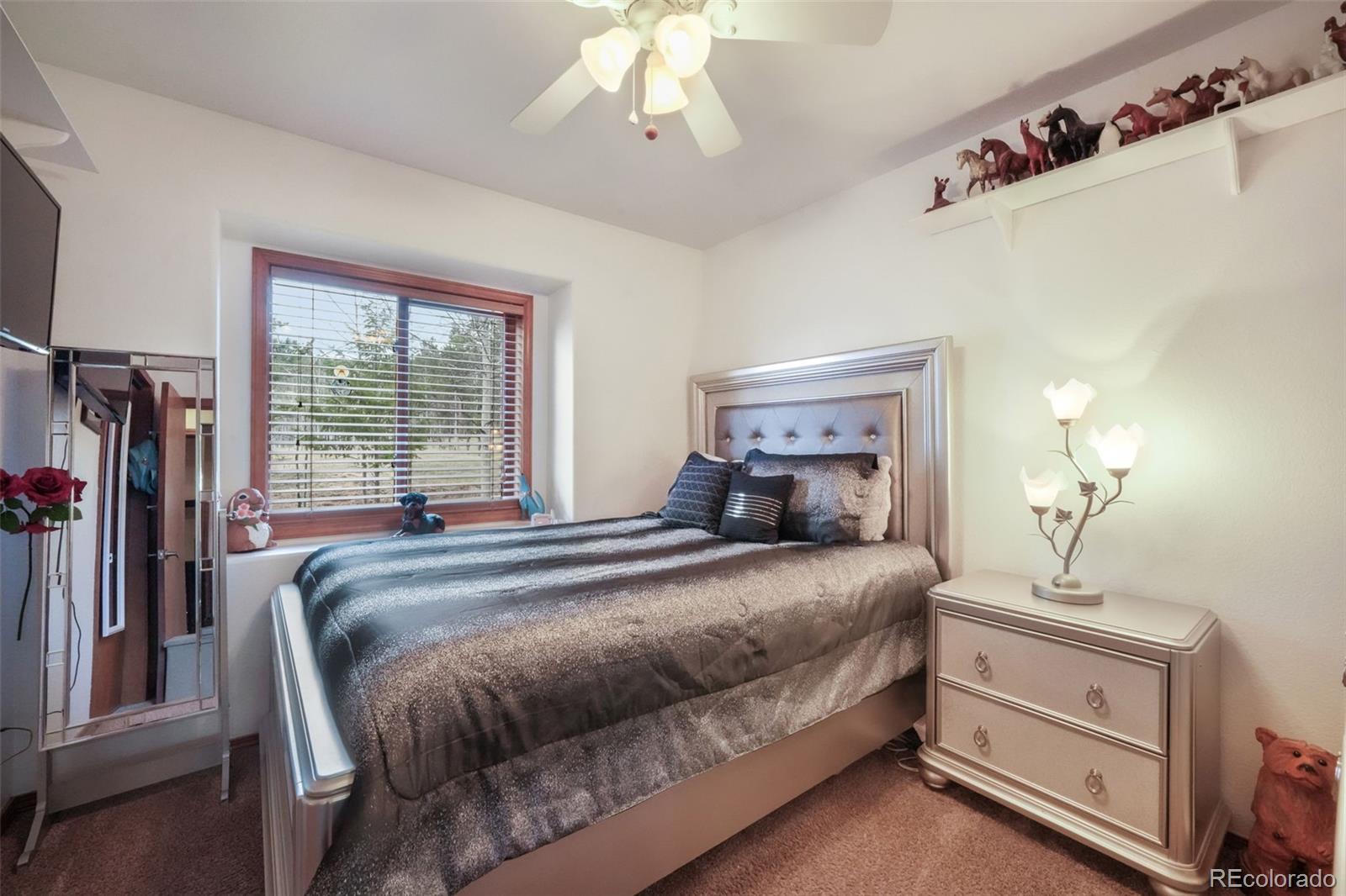 MLS Image #19 for 250  bridle drive,woodland park, Colorado