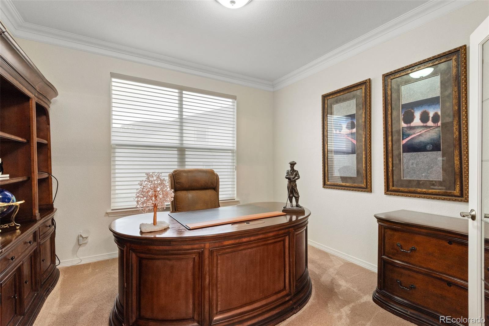 MLS Image #23 for 11818 s saunter court,parker, Colorado