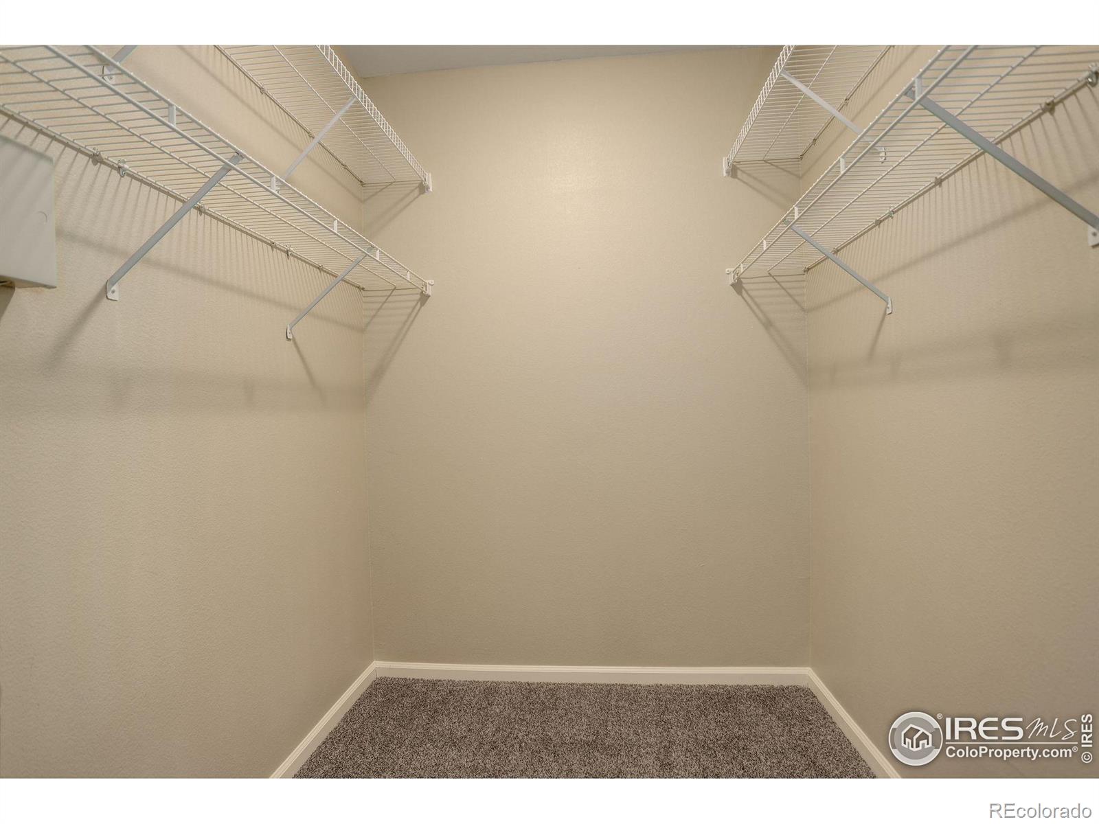 MLS Image #18 for 1016  opal street,broomfield, Colorado